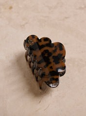 Maxi pince nuage 23 degres x PM